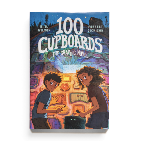 100 Cupboards Graphic Novel